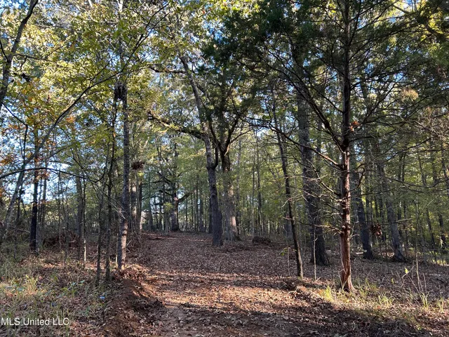 $316,883 | Franklin Drive, Batesville, MS 38606