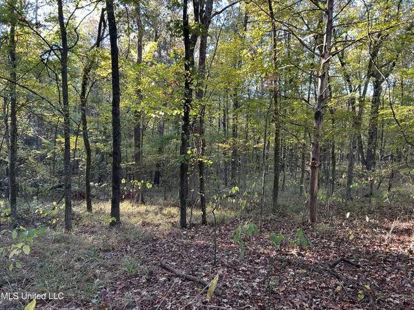 $285,240 | Franklin Drive, Batesville, MS 38606