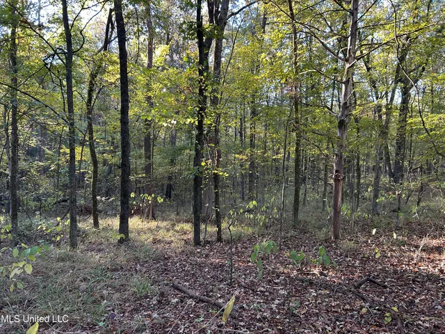 $316,883 | Franklin Drive, Batesville, MS 38606