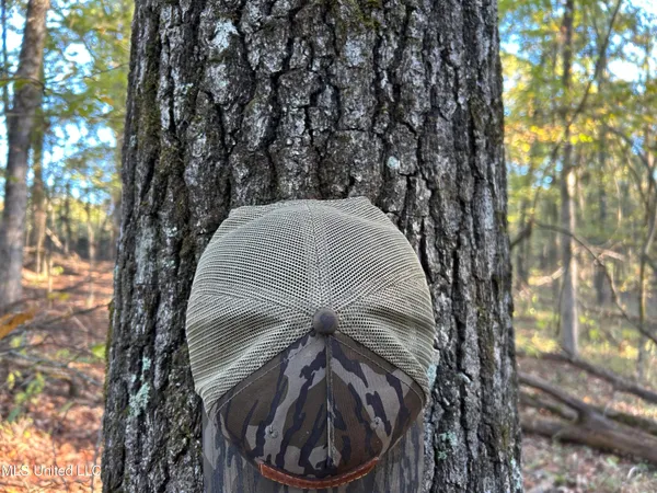 $285,240 | Franklin Drive, Batesville, MS 38606