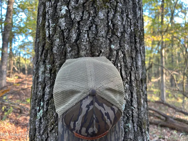 $316,883 | Franklin Drive, Batesville, MS 38606