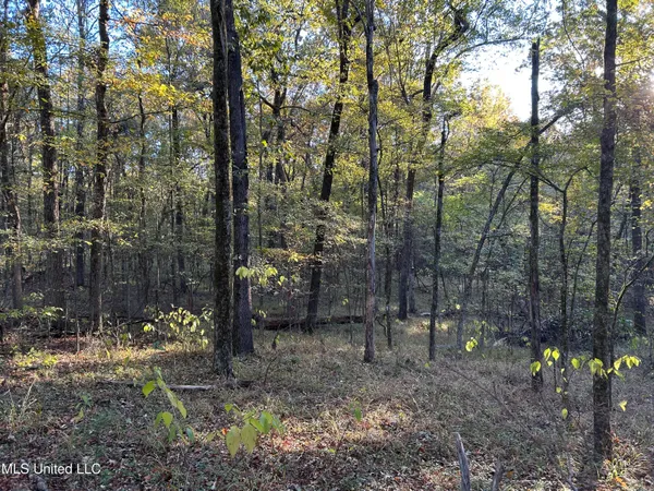 $285,240 | Franklin Drive, Batesville, MS 38606