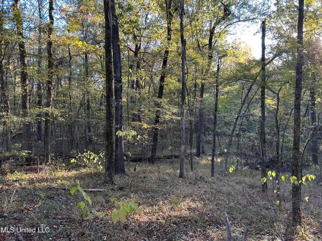 $316,883 | Franklin Drive, Batesville, MS 38606