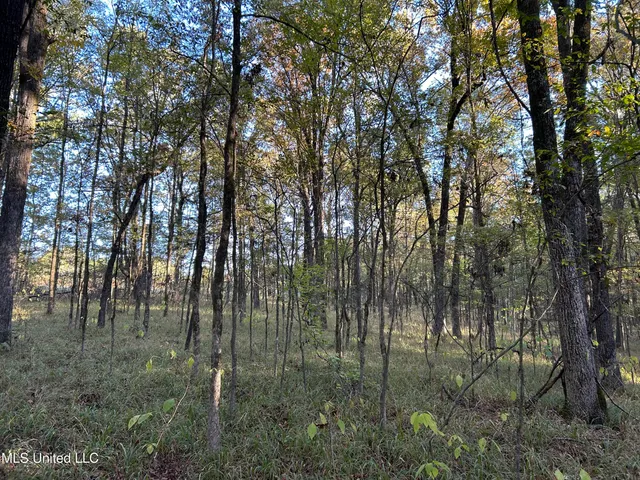 $316,883 | Franklin Drive, Batesville, MS 38606