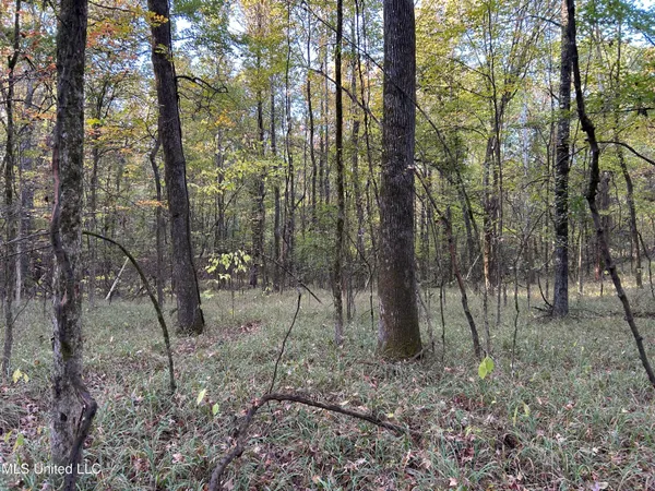 $285,240 | Franklin Drive, Batesville, MS 38606