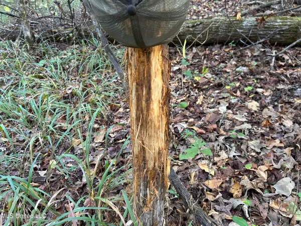 $285,240 | Franklin Drive, Batesville, MS 38606