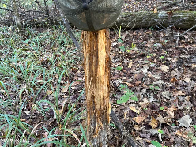 $316,883 | Franklin Drive, Batesville, MS 38606