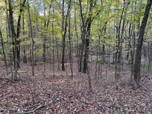 $285,240 | Franklin Drive, Batesville, MS 38606