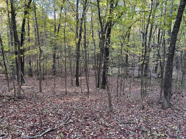 $316,883 | Franklin Drive, Batesville, MS 38606