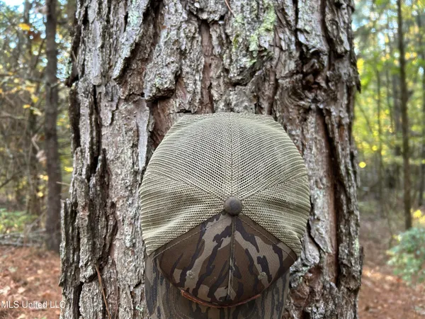 $285,240 | Franklin Drive, Batesville, MS 38606