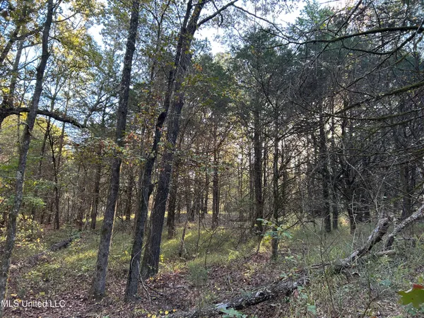 $285,240 | Franklin Drive, Batesville, MS 38606