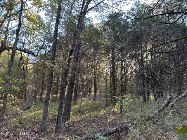 $316,883 | Franklin Drive, Batesville, MS 38606