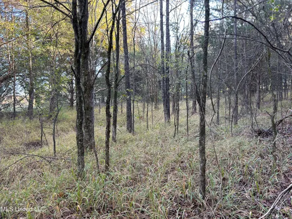 $285,240 | Franklin Drive, Batesville, MS 38606