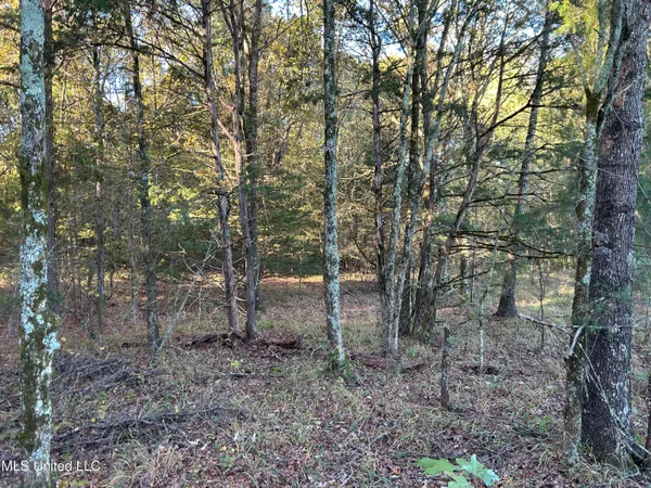 $285,240 | Franklin Drive, Batesville, MS 38606