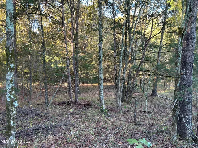 $316,883 | Franklin Drive, Batesville, MS 38606