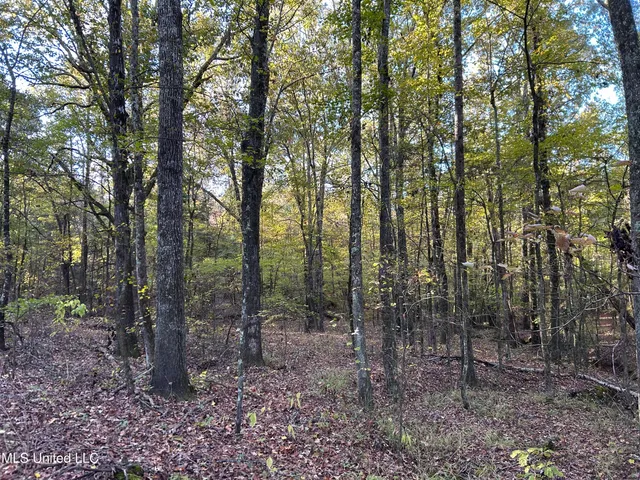 $316,883 | Franklin Drive, Batesville, MS 38606