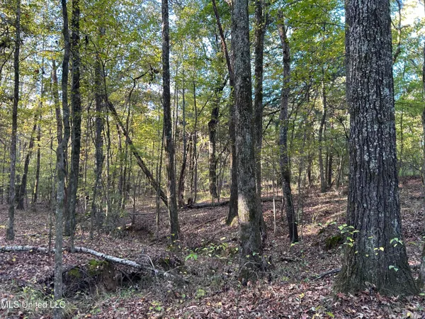 $285,240 | Franklin Drive, Batesville, MS 38606