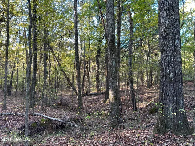 $316,883 | Franklin Drive, Batesville, MS 38606