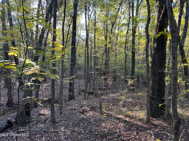 $316,883 | Franklin Drive, Batesville, MS 38606