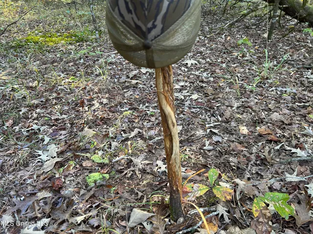 $316,883 | Franklin Drive, Batesville, MS 38606