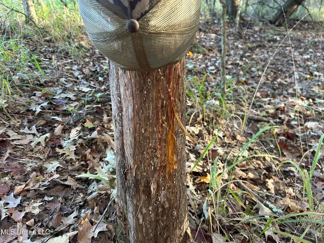 $316,883 | Franklin Drive, Batesville, MS 38606