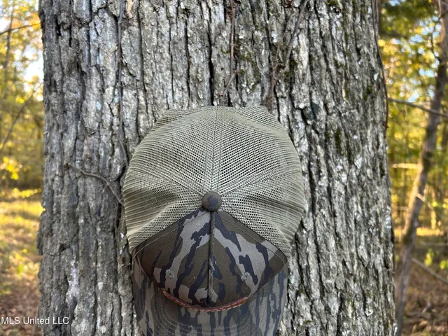 $316,883 | Franklin Drive, Batesville, MS 38606