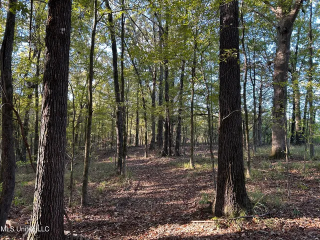 $316,883 | Franklin Drive, Batesville, MS 38606