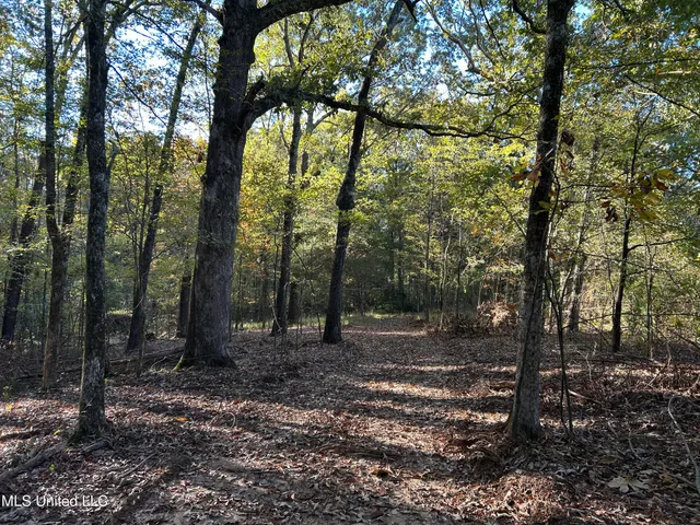 $316,883 | Franklin Drive, Batesville, MS 38606