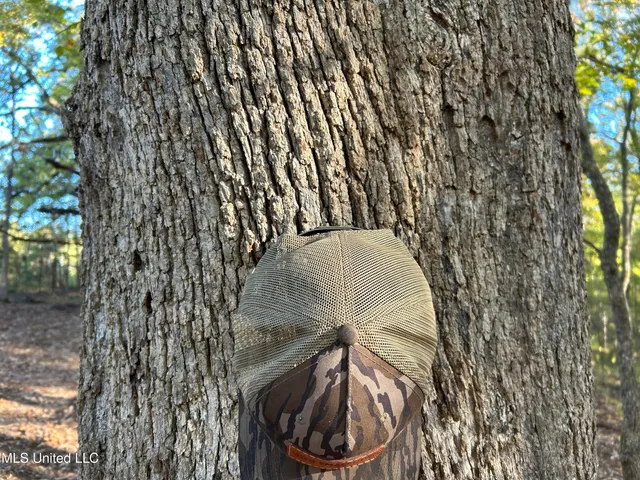 $316,883 | Franklin Drive, Batesville, MS 38606