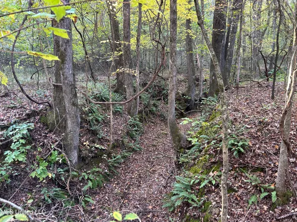 $285,240 | Franklin Drive, Batesville, MS 38606