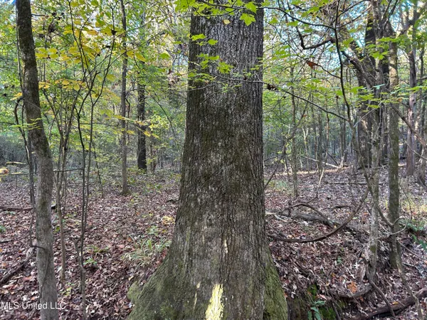 $285,240 | Franklin Drive, Batesville, MS 38606