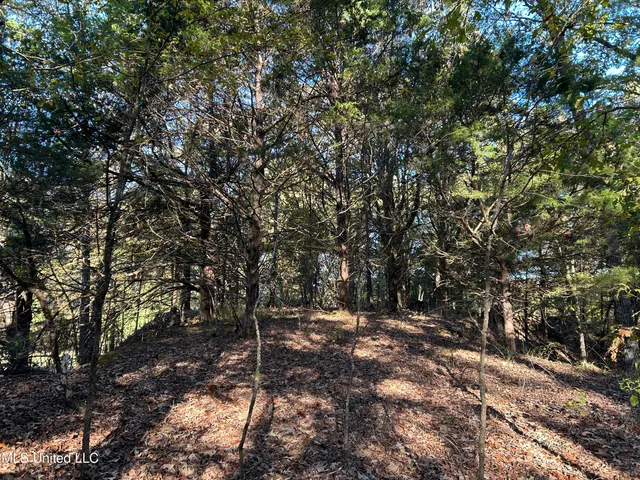 $316,883 | Franklin Drive, Batesville, MS 38606