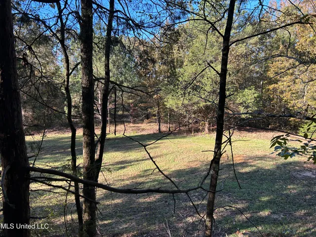 $316,883 | Franklin Drive, Batesville, MS 38606