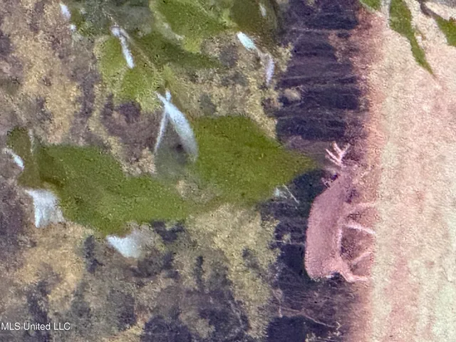 $316,883 | Franklin Drive, Batesville, MS 38606