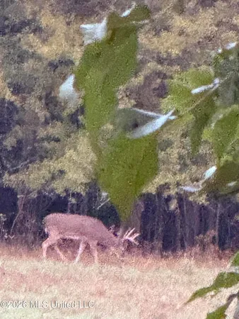 $285,240 | Franklin Drive, Batesville, MS 38606