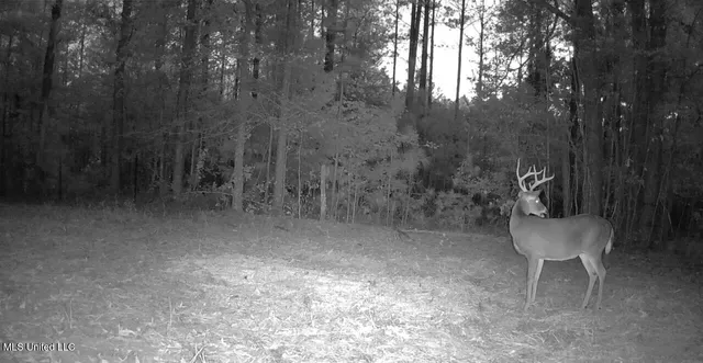 $316,883 | Franklin Drive, Batesville, MS 38606