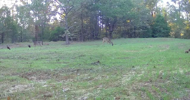 $316,883 | Franklin Drive, Batesville, MS 38606