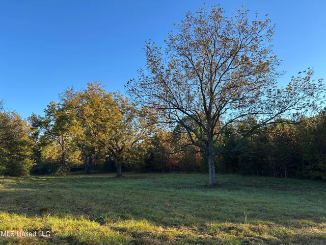 $316,883 | Franklin Drive, Batesville, MS 38606