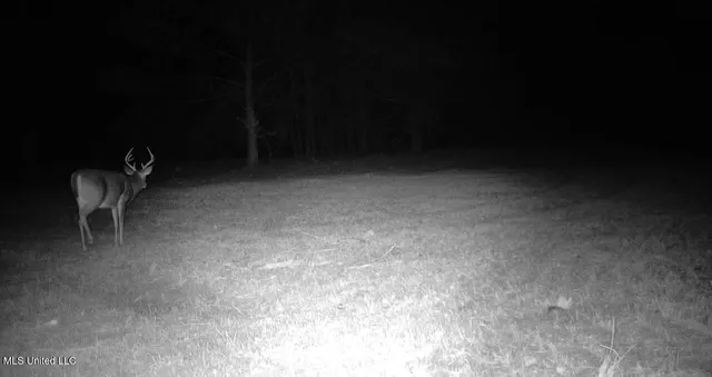 $316,883 | Franklin Drive, Batesville, MS 38606