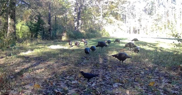 $316,883 | Franklin Drive, Batesville, MS 38606