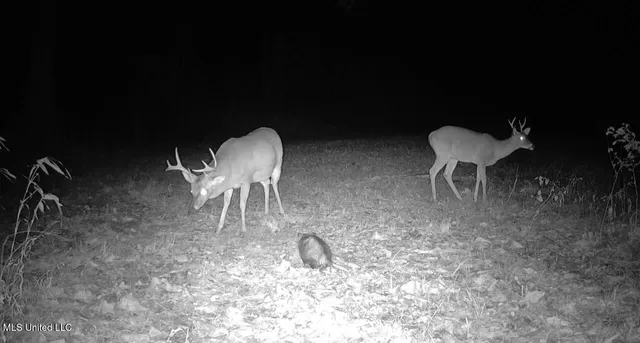 $316,883 | Franklin Drive, Batesville, MS 38606