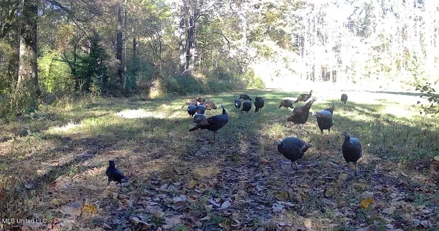 $316,883 | Franklin Drive, Batesville, MS 38606