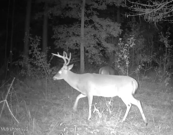 $285,240 | Franklin Drive, Batesville, MS 38606