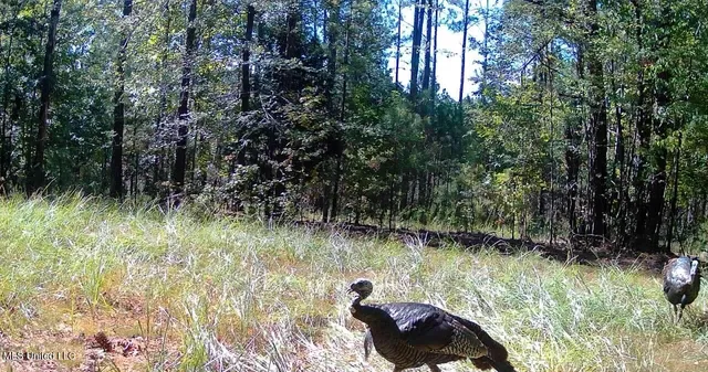 $316,883 | Franklin Drive, Batesville, MS 38606