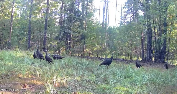 $285,240 | Franklin Drive, Batesville, MS 38606