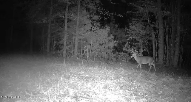 $316,883 | Franklin Drive, Batesville, MS 38606