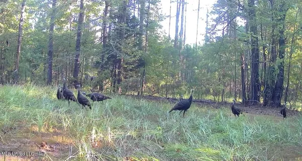 $285,240 | Franklin Drive, Batesville, MS 38606