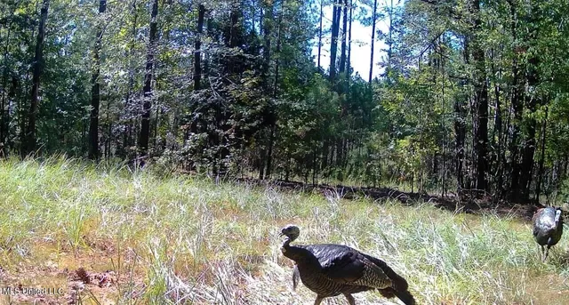 $316,883 | Franklin Drive, Batesville, MS 38606