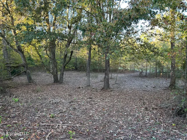 $316,883 | Franklin Drive, Batesville, MS 38606