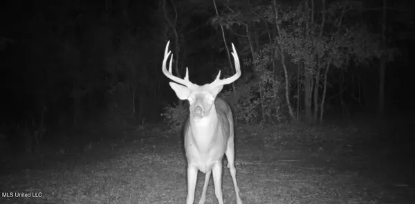 $285,240 | Franklin Drive, Batesville, MS 38606